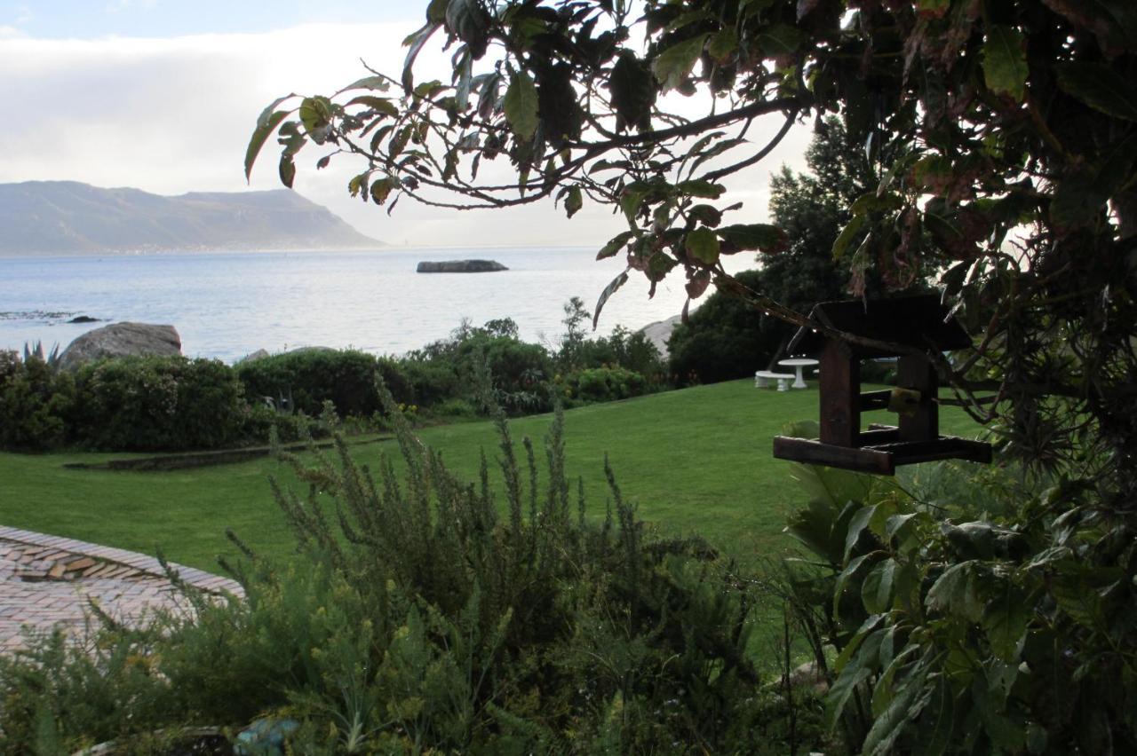 Bosky Dell On Boulders Beach ไซมอนส์ทาวน์ ภายนอก รูปภาพ