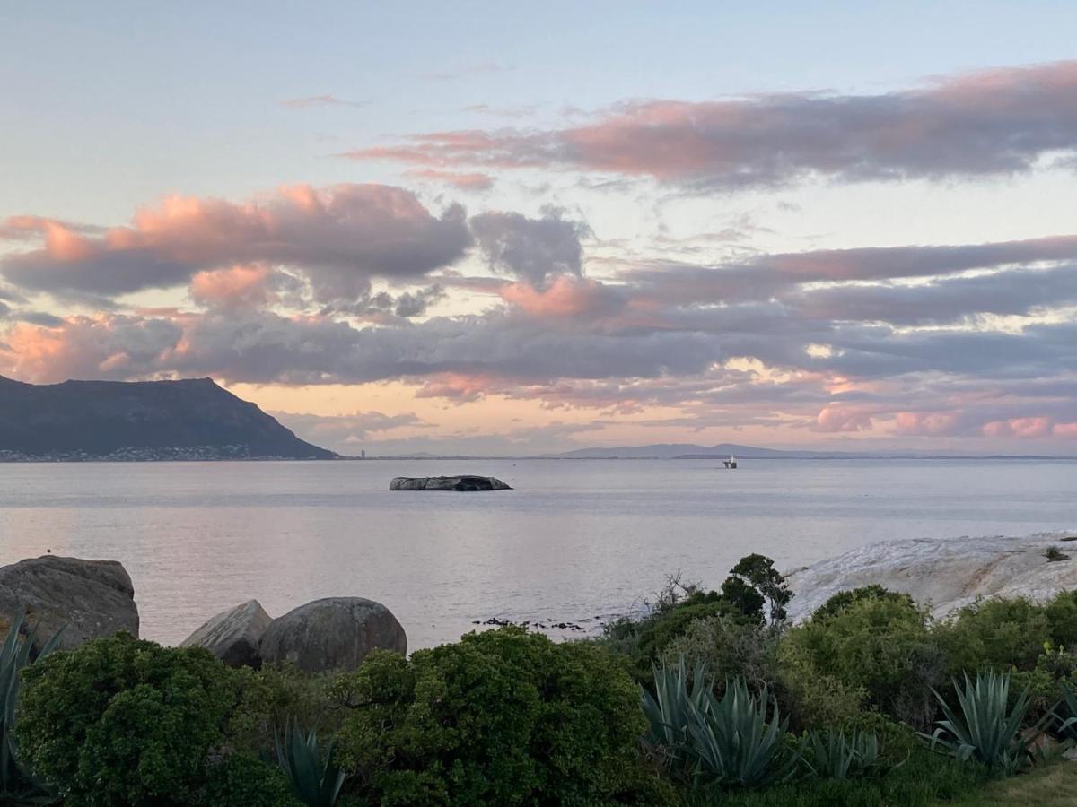 Bosky Dell On Boulders Beach ไซมอนส์ทาวน์ ภายนอก รูปภาพ