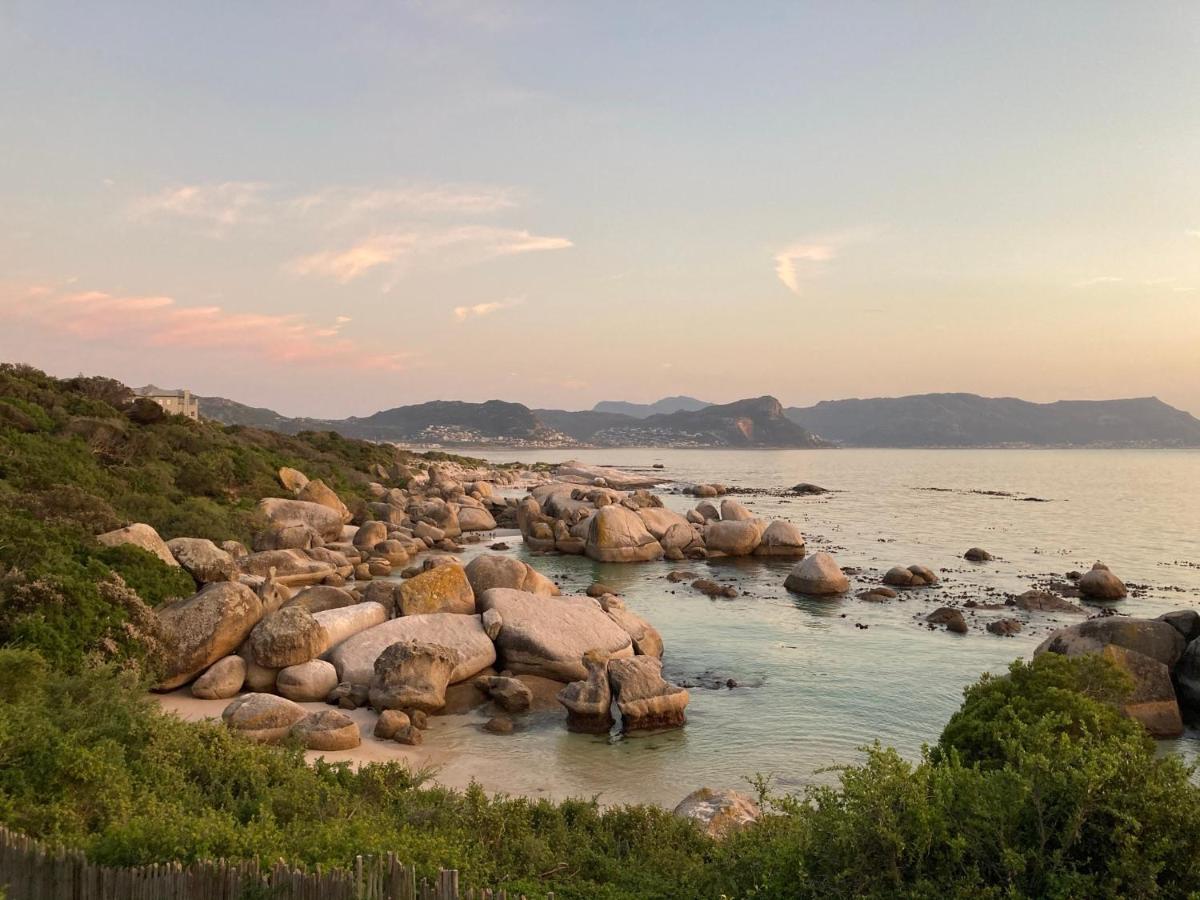 Bosky Dell On Boulders Beach ไซมอนส์ทาวน์ ภายนอก รูปภาพ