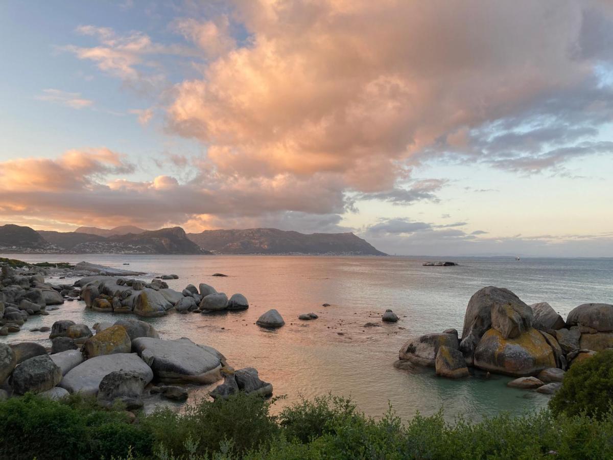Bosky Dell On Boulders Beach ไซมอนส์ทาวน์ ภายนอก รูปภาพ