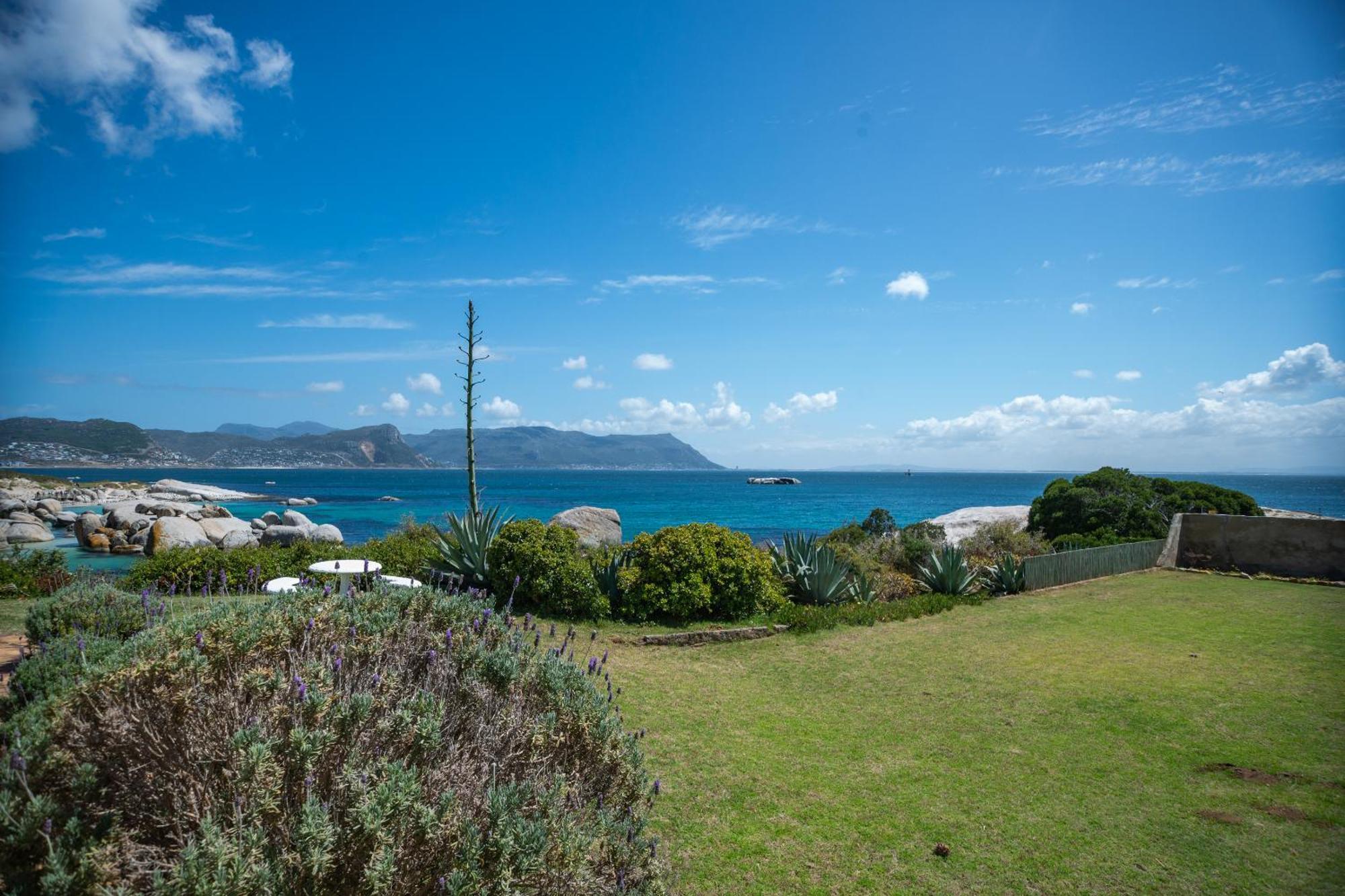 Bosky Dell On Boulders Beach ไซมอนส์ทาวน์ ภายนอก รูปภาพ